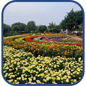Nashik_Flowerpark (1)
