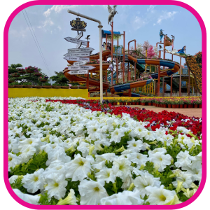 Nashik_Flowerpark (15)